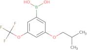 3-Isobutoxy-5-(trifluoroMethoxy)phenylboronic acid