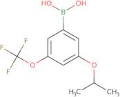 3-Isopropoxy-5-(trifluoroMethoxy)phenylboronic acid