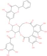 Pinocembrin 7-o-[3''-o-galloyl-4'',6''-hexahydroxydiphenoyl]-β-D-glucoside