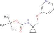 N-(4-Aminophenyl)-2-chloro-N-methylacetamide