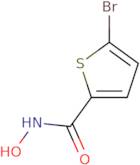 5-Bromo-N-hydroxythiophene-2-carboxamide