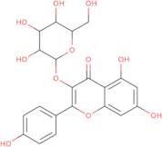 Kaempferol 3-O-D-galactoside