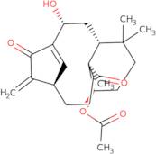 Kongensin A