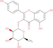 Kaempferol-3-O-rhamnoside