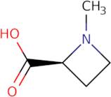 2-Azetidinecarboxylic acid, 1-methyl-, (2S)-