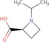 (2S)-1-(1-Methylethyl)azetidine-2-carboxylic acid