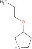 (S)-3-Propoxy-pyrrolidine ee