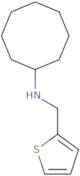 N-(Thiophen-2-ylmethyl)cyclooctanamine