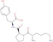 H-Lys-Pro-Tyr-OH acetate salt