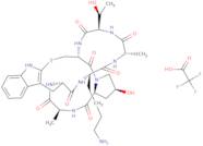 (Lys7)-Phalloidin trifluoroacetate salt