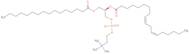 L-a-Phosphatidylcholine - PC 20