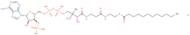 Lauroyl coenzyme A lithium