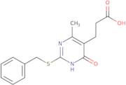 3-[2-(Benzylsulfanyl)-4-methyl-6-oxo-1,6-dihydropyrimidin-5-yl]propanoic acid