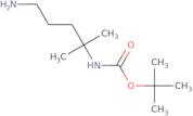 tert-Butyl N-(5-amino-2-methylpentan-2-yl)carbamate