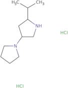 2-(Propan-2-yl)-4-(pyrrolidin-1-yl)pyrrolidine dihydrochloride