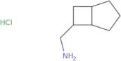 {Bicyclo[3.2.0]heptan-6-yl}methanamine hydrochloride