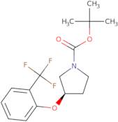 2-Methyl-2-propanyl (3R)-3-[2-(trifluoromethyl)phenoxy]-1-pyrrolidinecarboxylate