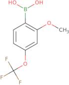[2-methoxy-4-(trifluoromethoxy)phenyl]boronic Acid