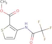 Methyl 3-[(2,2,2-trifluoroacetyl)amino]thiophene-2-carboxyla
