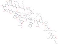 MCH-Gene-Overprinted-Polypeptide-27 (rat)