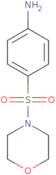 4-(Morpholin-4-ylsulfonyl)aniline