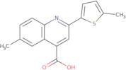 6-Methyl-2-(5-methylthien-2-yl)quinoline-4-carboxylic acid