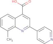 8-Methyl-2-pyridin-4-ylquinoline-4-carboxylic acid