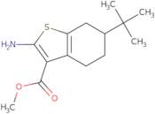 Methyl 2-amino-6-tert-butyl-4,5,6,7-tetrahydro-1-benzothiophene-3-carboxylate