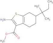 Methyl 2-amino-6-(1,1-dimethylpropyl)-4,5,6,7-tetrahydro-1-benzothiophene-3-carboxylate