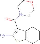 3-(Morpholin-4-ylcarbonyl)-4,5,6,7-tetrahydro-1-benzothien-2-ylamine