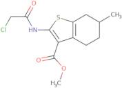 Methyl 2-[(chloroacetyl)amino]-6-methyl-4,5,6,7-tetrahydro-1-benzothiophene-3-carboxylate