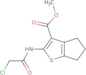 Methyl 2-[(chloroacetyl)amino]-5,6-dihydro-4H-cyclopenta[b]thiophene-3-carboxylate