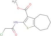 Methyl 2-[(chloroacetyl)amino]-5,6,7,8-tetrahydro-4H-cyclohepta[b]thiophene-3-carboxylate