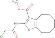 Methyl 2-[(chloroacetyl)amino]-4,5,6,7,8,9-hexahydrocycloocta[b]thiophene-3-carboxylate