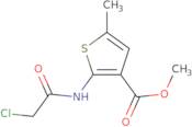 Methyl 2-[(chloroacetyl)amino]-5-methylthiophene-3-carboxylate