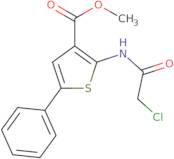 Methyl 2-[(chloroacetyl)amino]-5-phenylthiophene-3-carboxylate