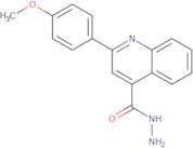 2-(4-Methoxyphenyl)quinoline-4-carbohydrazide