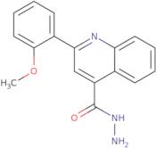 2-(2-Methoxyphenyl)quinoline-4-carbohydrazide