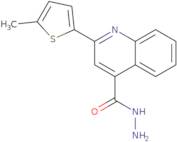 2-(5-Methylthien-2-yl)quinoline-4-carbohydrazide