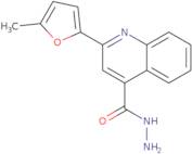 2-(5-Methyl-2-furyl)quinoline-4-carbohydrazide