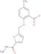 5-[(4-Methyl-2-nitrophenoxy)methyl]-2-furohydrazide