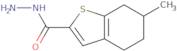 6-Methyl-4,5,6,7-tetrahydro-1-benzothiophene-2-carbohydrazide