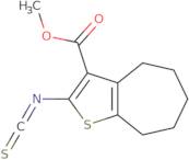 Methyl 2-isothiocyanato-5,6,7,8-tetrahydro-4H-cyclohepta[b]thiophene-3-carboxylate