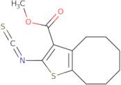 Methyl 2-isothiocyanato-4,5,6,7,8,9-hexahydrocycloocta[b]thiophene-3-carboxylate