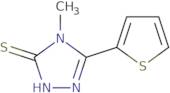 4-Methyl-5-thien-2-yl-4H-1,2,4-triazole-3-thiol