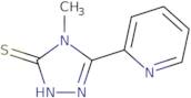 4-Methyl-5-pyridin-2-yl-4H-1,2,4-triazole-3-thiol