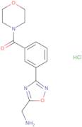 {3-[3-(Morpholin-4-ylcarbonyl)phenyl]-1,2,4-oxadiazol-5-yl}methylamine hydrochloride