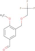 4-Methoxy-3-[(2,2,2-trifluoroethoxy)methyl]benzaldehyde