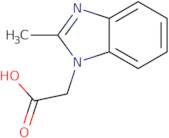 (2-Methyl-1H-benzimidazol-1-yl)acetic acid