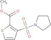 Methyl 3-(pyrrolidin-1-ylsulfonyl)thiophene-2-carboxylate